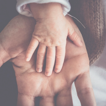 mano de bebé sobre mano de adulto que sostiene