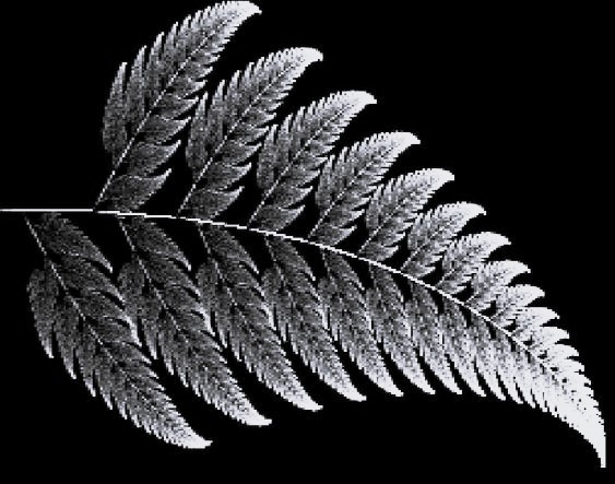 hoja de árbol en blanco y negro